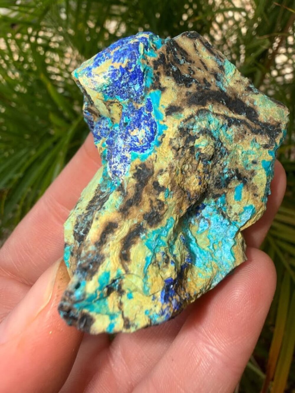 Natural Azurite and Chrysocolla Mineral Specimen